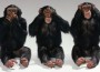 Monos Monos