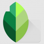 Snapseed Mod APK